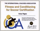 ICA diploma